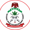 NDLEA Burst Lagos Club, Carry Owner And Him Boys For Drug Wahala