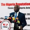 Fashola Ginger Oga Presido To Update Naija New Ambassadors