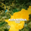 How Gunmen Kpai 29 Pipo for Adamawa Community