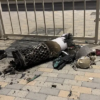 US Bomb Iran Again As Peace Tuk Dey Happen For Qatar