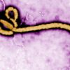 Ebola For Congo, Kpai 254 Pipo