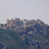 Israel Capture Beaufort Castle As Di War Enter New Level For Southern Lebanon