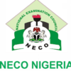Federal Government Praise NECO CBT Exam