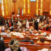  Naija Senate Clear Im State Assemblies Why Dem Need Pass State Police Law
