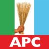 Lagos APC Members Ready To Put Body For Tinubu and Hamzat